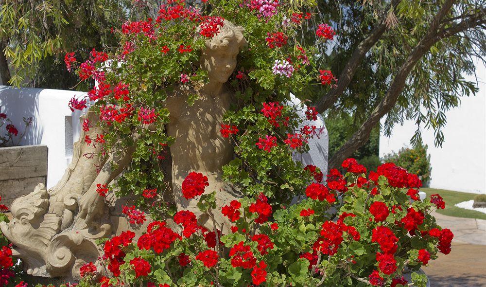 Fergus Conil Park Otel Conil De La Frontera Dış mekan fotoğraf